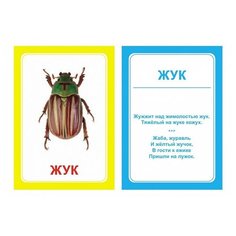 Вундеркинд с пеленок Логопедические карточки "Логопедка Ж" (7 х 10 см) 30 шт