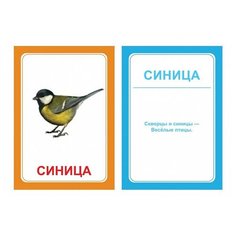 Вундеркинд с пеленок Логопедические карточки "Логопедка Ц" (7 х 10 см) 30 шт.