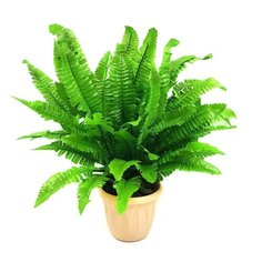 Искусственный папоротник в горшке/ Искусственные цветы для декора/ искусственные цветы для декора в горшках/ искусственные цветы для декора в кашпо/ Искусственные растения/ искусственные цветы в кашпо Holodilova