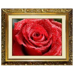 Алмазная мозаика Милато "Бутон в росе" N-310 Milato