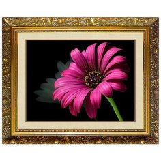 Алмазная мозаика Милато "Пурпурный цветок" N-102 Milato