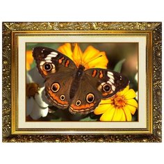 Алмазная мозаика Милато "Кареглазка" N-315 Milato