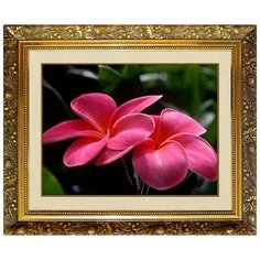 Алмазная мозаика Милато "Розовая плюмерия" N-104 Milato