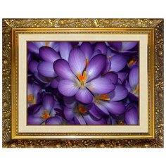 Алмазная мозаика Милато "Крокусы" N-121 Milato