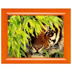 Алмазная мозаика Милато "Тигр в засаде" N-207 Milato