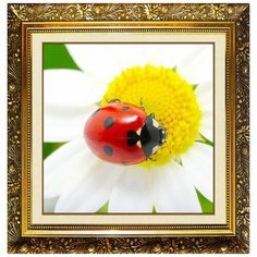 Алмазная мозаика Милато "Ромашковый отдых" N-367 Milato