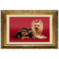 F-118 Алмазная мозаика милато "Забавные аристократы" Milato