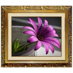 Алмазная мозаика Милато "Фиолетовый цветок" N-103 Milato