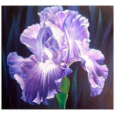 Ah3555 Алмазная мозаика Алмазное хобби "Сиреневый ирис"