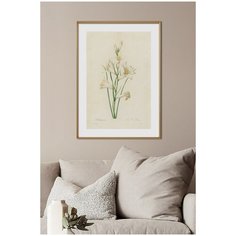 Постер на стену для интерьера Postermarkt Винтажные цветы, постер в золотой рамке 50х70 см, ботаническая иллюстрация №15