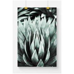 Постер на стену для интерьера Postermarkt Растение №6, размер 40х50 см, постеры картины для интерьера в тубусе