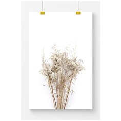 Постер для интерьера Postermarkt Ветки из сухоцветов, 50х70 см, в тубусе