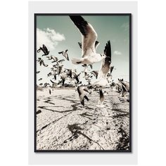 Постер на стену для интерьера Postermarkt Птицы на пляже, постер в черной рамке 50х70 см, постеры картины для интерьера в черной рамке