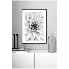 Постер в черной рамке Postermarkt "Растение #14", 40х50 см