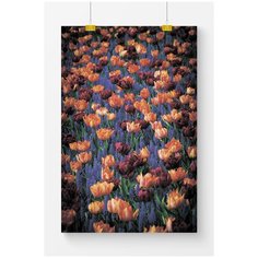 Постер на стену для интерьера Postermarkt Поле цветов, размер 60х90 см, постеры картины для интерьера в тубусе