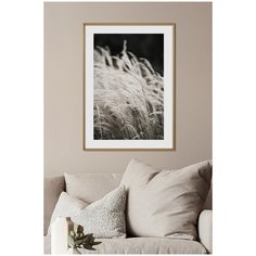 Постер на стену для интерьера Postermarkt Колосья №1, постер в золотой рамке 50х70 см, постеры картины для интерьера в золотой рамке