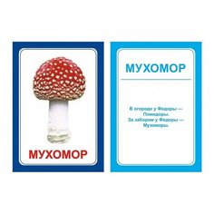 Вундеркинд с пеленок Логопедические карточки "Логопедка Р" (7 х 10 см) 30 шт.