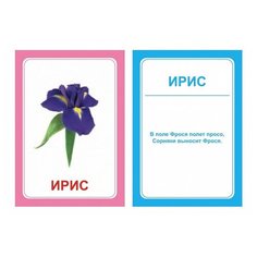 Вундеркинд с пеленок Логопедические карточки "Логопедка С" (7 х 10 см) 30 шт.