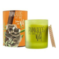 Свеча ароматическая Wild Koala, Бальзамические листья, 40 ч, VV040BLAW, Ambientair