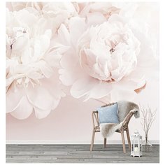 F00103-08 Фотообои Флизелиновые с виниловым покрытием Цветы "Пионы" 300 x 270 см Barton Wallpapers