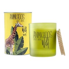 Свеча ароматическая Wild Giraffe, Водная лилия, 40 ч, VV040WLAW, Ambientair