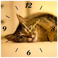 SvS Настенные часы SvS 3001866 Смотрящий кот СВС