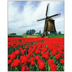 Алмазная мозаика Алмазная Фея A-0180. Голландский пейзаж