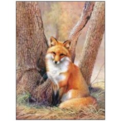 Алмазная мозаика Алмазная Фея A-0312. Хитрая лисица