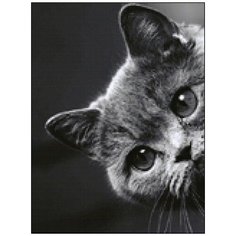 Алмазная мозаика Алмазная Фея A-0288. Ку - ку