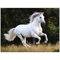 Алмазная мозаика Алмазная Фея A-0285. Летящий по ветру