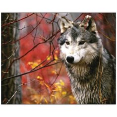 Алмазная мозаика Алмазная Фея A-0146. A-0146