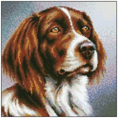 Алмазная мозаика Алмазная Фея 0148. Гром