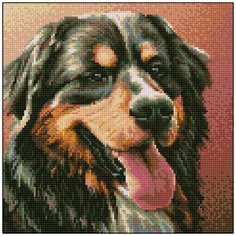 Алмазная мозаика Алмазная Фея 0146. Барон