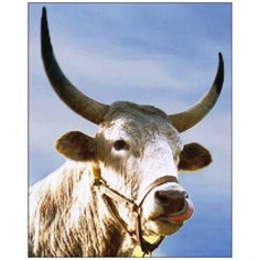 Алмазная мозаика Алмазная Фея A-0167. A-0167