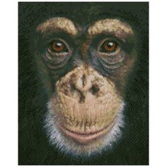 Алмазная мозаика Алмазная Фея A-0023-4050. A-0023-4050