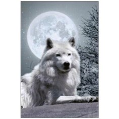 Алмазная мозаика Алмазная Фея A-0124. A-0124