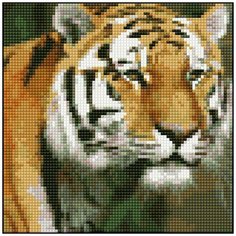 Алмазная мозаика Алмазная Фея A-0394. Наблюдатель