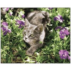 Алмазная мозаика Алмазная Фея A-0116. A-0116