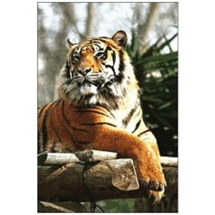 Алмазная мозаика Алмазная Фея A-0119. A-0119