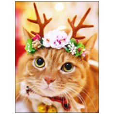 Алмазная мозаика Алмазная Фея A-0313. Рожки на макушке