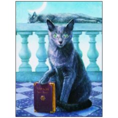 Алмазная мозаика Алмазная Фея A-0336. Ученье - свет