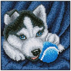 Алмазная мозаика Алмазная Фея 0083. Хаски