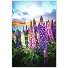 Алмазная мозаика Алмазная Фея A-0215. Стрелочки