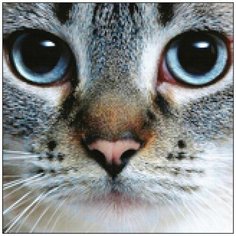 Алмазная мозаика Алмазная Фея A-0291. Изучающий взгляд