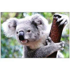 Алмазная мозаика Алмазная Фея A-0136. A-0136