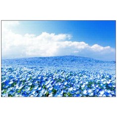 Алмазная мозаика Алмазная Фея A-0207. Сливаясь с облаками