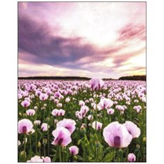 Алмазная мозаика Алмазная Фея A-0236. Покачиваясь на ветру