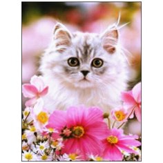 Алмазная мозаика Алмазная Фея A-0364. Самый обоятельный и привлекательный