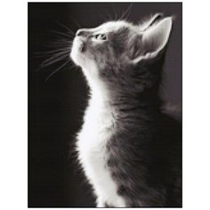 Алмазная мозаика Алмазная Фея A-0298. Идущий на свет