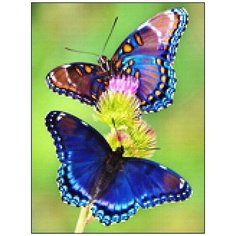 Алмазная мозаика Алмазная Фея A-0204. В поисках пыльцы